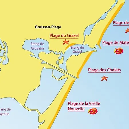 Alizes - Dromadaires F Gruissan